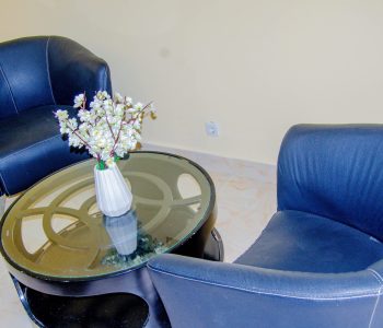T1 SUITE JUNIOR