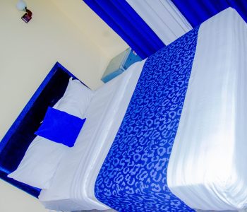 T1 SUITE JUNIOR