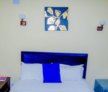 T1 SUITE JUNIOR