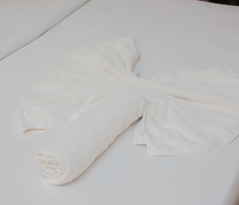 SUITE VINTAGE Q302